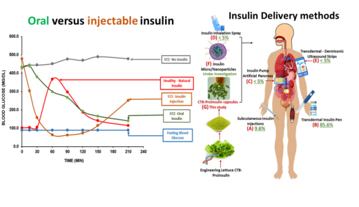 Daniell Lab Study Shows Plant-Based Insulin Regulates Blood Sugar Levels Similar to Natural Insulin