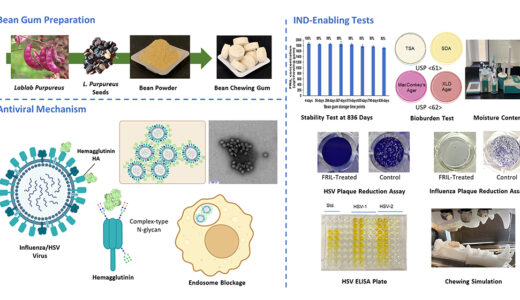 Daniell Lab Shows Naturally Occuring Antiviral Protein Neutralizes Flu, Herpes Simplex Viruses